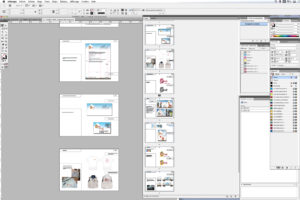 charte graphique Dine